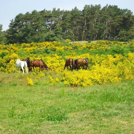 Lejlighed Uns Wiek-hus Fewo 9 - #127582